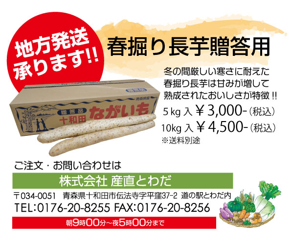長芋地方発送ちらし